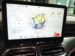 smart#1 Pro Edition - ფოტო 13