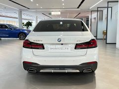 BMW 5 530Li Version M - ფოტო 19