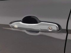 Ford 2.5HG Luxury Edition - ფოტო 18