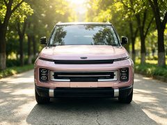 Geely ICON 1.5TD Edition - ფოტო 2