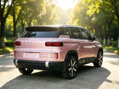 Geely ICON 1.5TD Edition - ფოტო 5