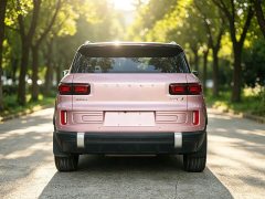 Geely ICON 1.5TD Edition - ფოტო 6