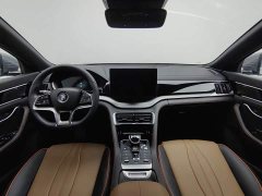 BYD PLUS 1.5T Premium Version - ფოტო 5
