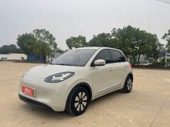 Wuling 203km - ფოტო 1