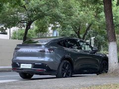 Haval R7 EREV Max(192) - ფოტო 5