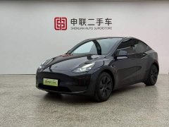 Tesla Model Y Edition - ფოტო 1