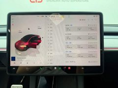 Tesla Model Y Edition - ფოტო 14
