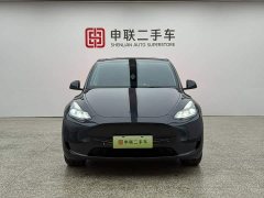 Tesla Model Y Edition - ფოტო 5