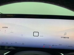 Tesla S 25T Edition - ფოტო 11