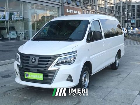 2023 Dongfeng Lingzhi M5 EV Edition Version 5 - автомобиль из Китая