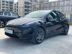 Tesla Model Y Edition - ფოტო 1