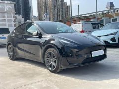 Tesla Model Y Edition - ფოტო 3