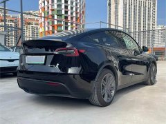 Tesla Model Y Edition - ფოტო 7
