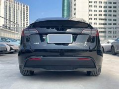 Tesla Model Y Edition - ფოტო 8