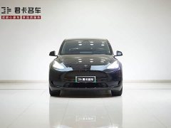 Tesla Model Y Edition - ფოტო 2