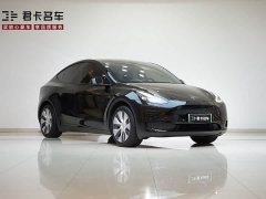 Tesla Model Y Edition - ფოტო 3
