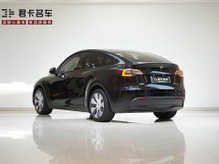 Tesla Model Y Edition - ფოტო 5