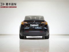 Tesla Model Y Edition - ფოტო 6