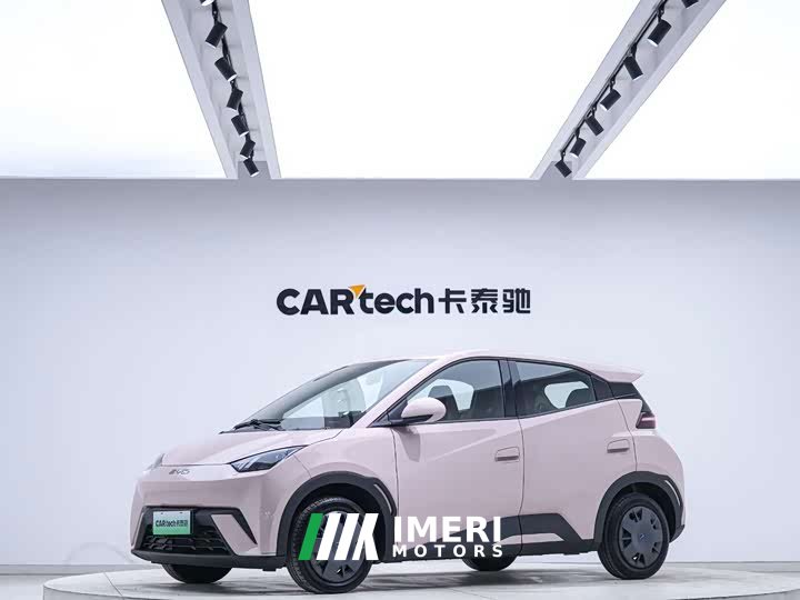BYD 305km Edition - ავტომობილი ჩინეთიდან