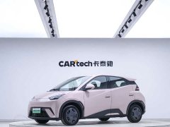BYD 305km Edition - ფოტო 1