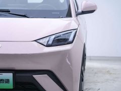 BYD 305km Edition - ფოტო 11