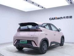 BYD 305km Edition - ფოტო 17