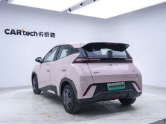 BYD 305km Edition - ფოტო 19