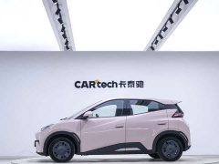 BYD 305km Edition - ფოტო 2