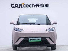 BYD 305km Edition - ფოტო 4