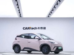 BYD 305km Edition - ფოტო 5