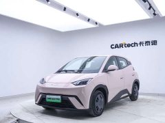 BYD 305km Edition - ფოტო 7