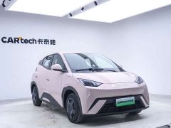 BYD 305km Edition - ფოტო 9