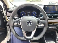 Changan DT 1.6L Version VI - ფოტო 11