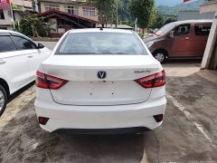 Changan DT 1.6L Version VI - ფოტო 6