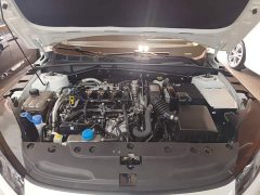 Changan 1.5T 500BarPremium Version - ფოტო 20