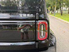 Baojun Flagship Edition - ფოტო 10