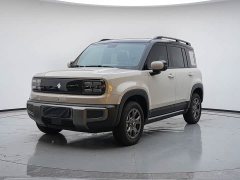 Baojun Plus 301kmFlagship Edition - ფოტო 1