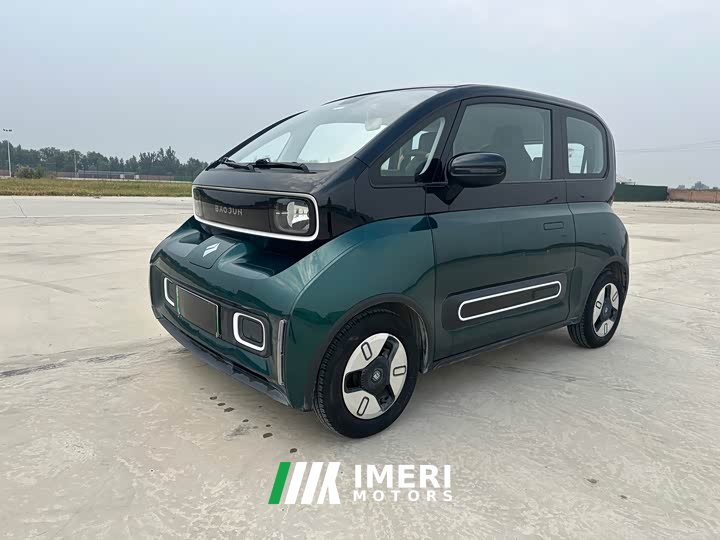 BYD KiWi EV Edition