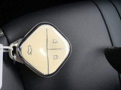 Baojun Flagship Edition - ფოტო 9