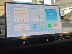 Baojun 460 Max - ფოტო 13