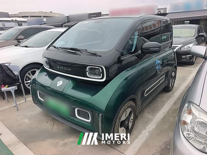 BYD KiWi EV