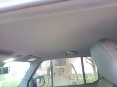 Baojun Flagship Edition - ფოტო 18