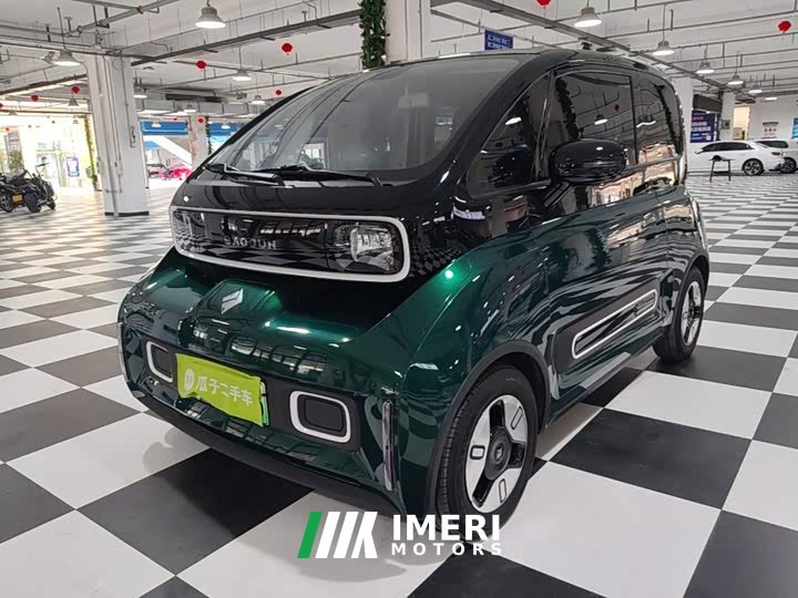 BYD KiWi EV Edition