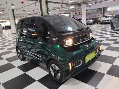 BYD KiWi EV Edition - ფოტო 4