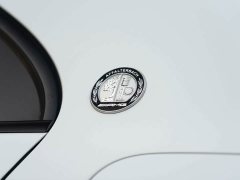 Mercedes-Benz AAMG AMG A 35 L 4MATIC - photo 12
