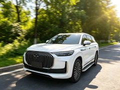 Chery 9 2.0T 2WD Edition 7 - ფოტო 1
