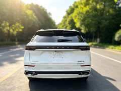 Chery 9 2.0T 2WD Edition 7 - ფოტო 6