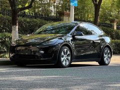 Tesla Model Y Edition - ფოტო 1