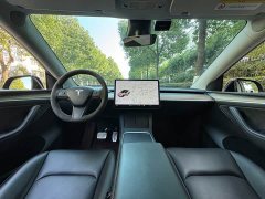 Tesla Model Y Edition - ფოტო 11