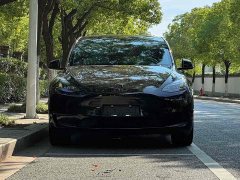 Tesla Model Y Edition - ფოტო 2